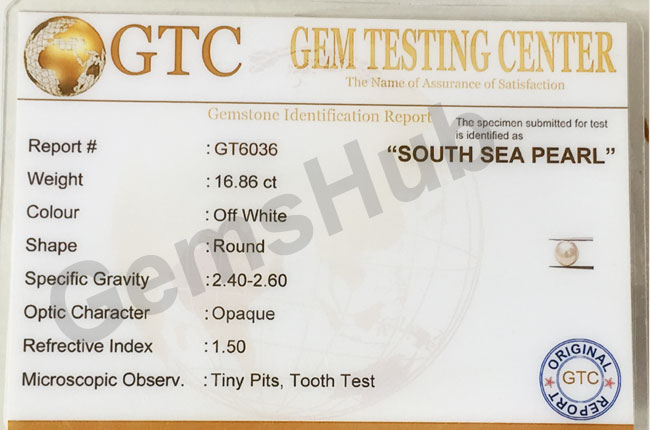 South Sea Pearl - 16.86 ct (18.60 ratti)