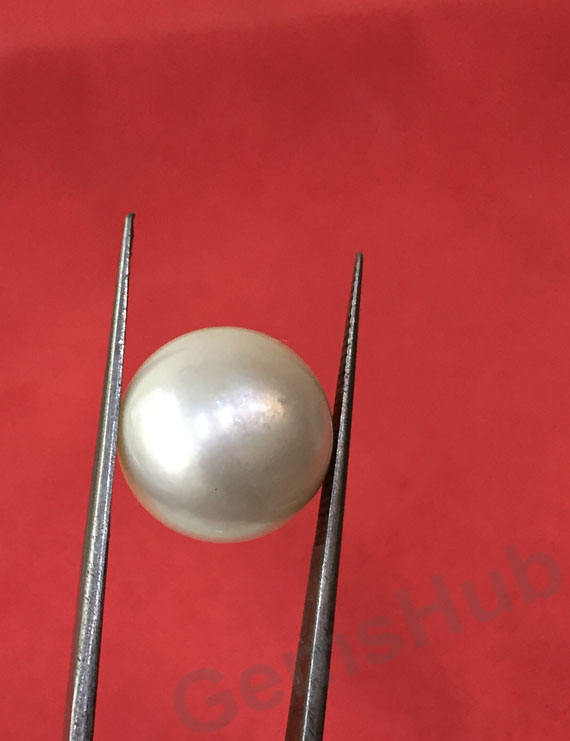 South Sea Pearl - 17.33 ct (19.25 ratti)