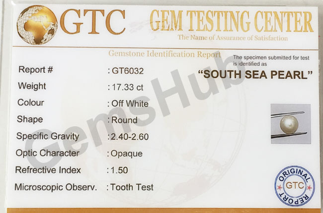 South Sea Pearl - 17.33 ct (19.25 ratti)