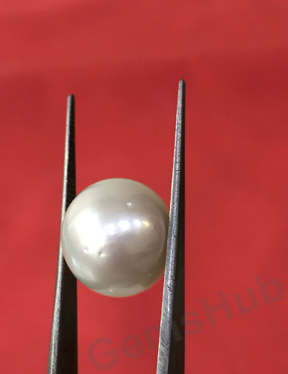 South Sea Pearl - 17.58 ct (19.50 ratti)