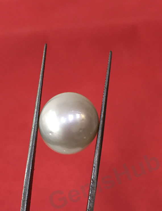 South Sea Pearl - 17.58 ct (19.50 ratti)