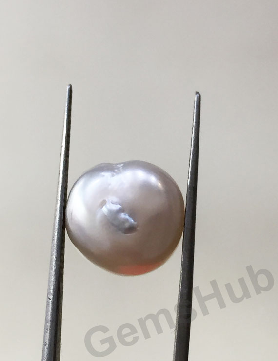 Japanese Pearl - 8.07 ct (9.00 ratti)