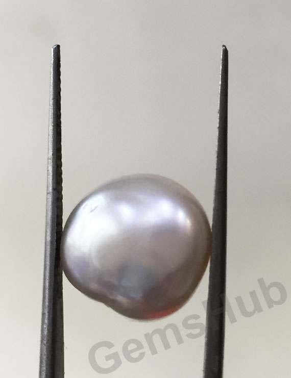 Japanese Pearl - 8.07 ct (9.00 ratti)