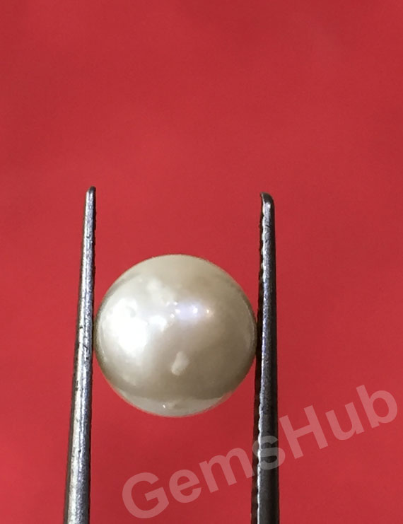 South Sea Pearl - 2.62 ct (2.90 ratti)