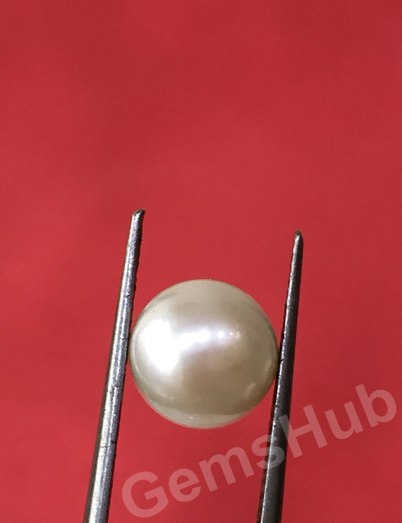 South Sea Pearl - 2.62 ct (2.90 ratti)