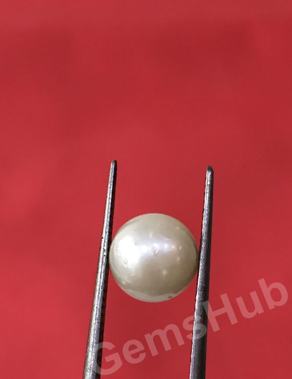 South Sea Pearl - 2.32 ct (2.50 ratti)