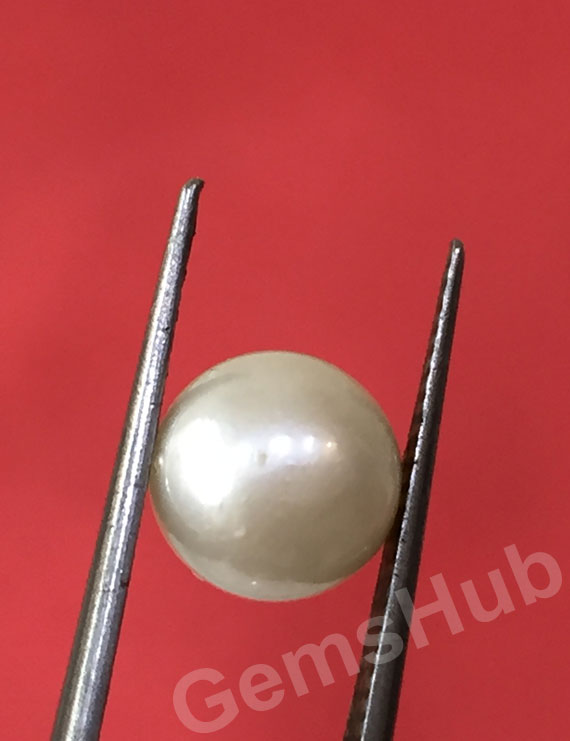 South Sea Pearl - 2.32 ct (2.50 ratti)