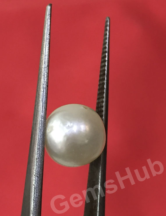 South Sea Pearl - 3.98 ct (4.50 ratti)
