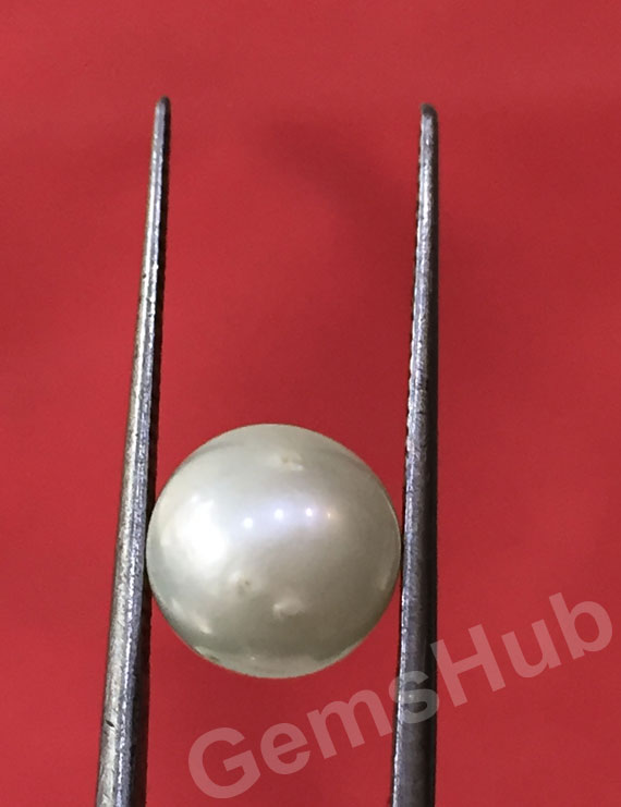 South Sea Pearl - 3.73 ct (4.25 ratti)