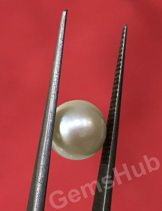 South Sea Pearl - 3.73 ct (4.25 ratti)