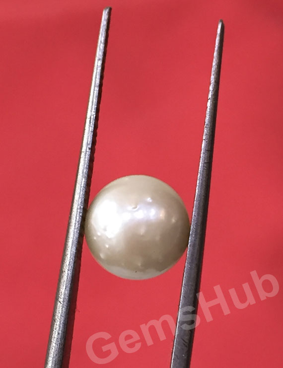 South Sea Pearl - 3.65 ct (4.00 ratti)