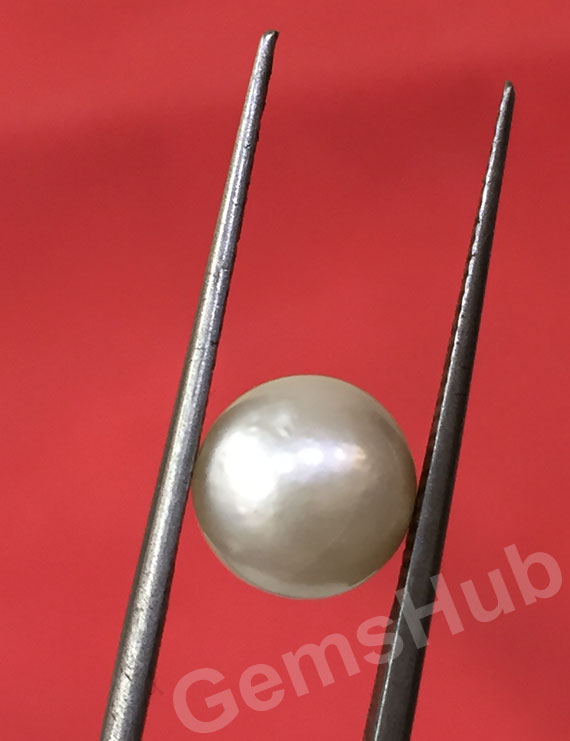 South Sea Pearl - 3.44 ct (3.82 ratti)