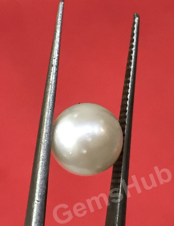 South Sea Pearl - 3.13 ct (3.50 ratti)