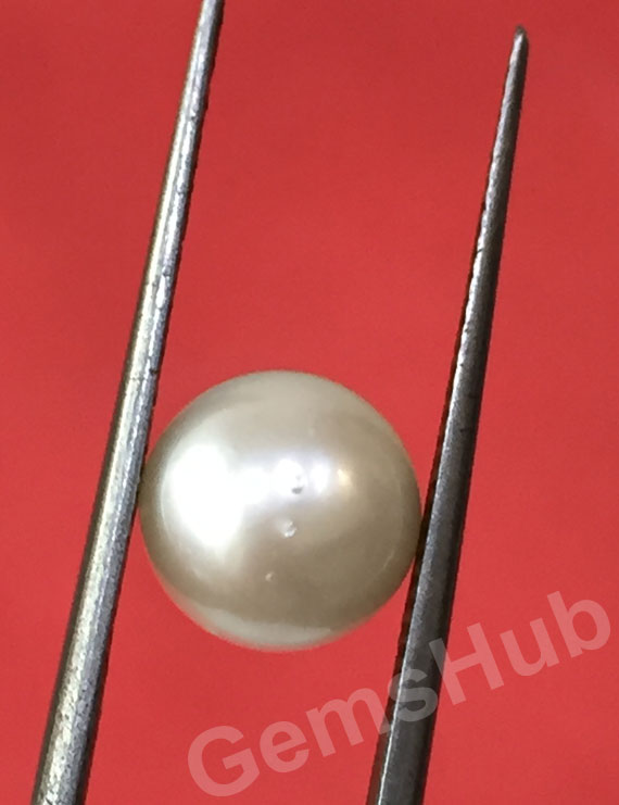 South Sea Pearl - 3.13 ct (3.50 ratti)