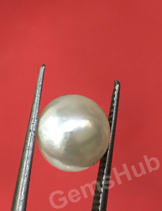 South Sea Pearl - 3.45 ct (3.83 ratti)