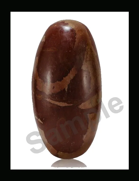 Natural Narmadeshwar Shivling 4 Inch | Original Certified Shiva Lingam