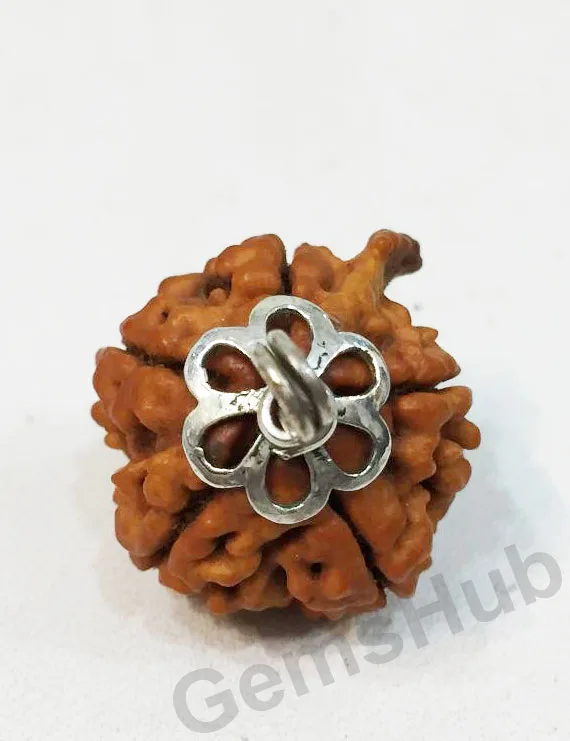 Natural Nepali Ganesh Rudraksha Pendant with Silver (Chandi) Capping