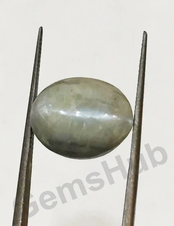 13.60 Ratti (12.27 Ct) Natural Chrysoberyl Cat's Eye (Lehsunia) | Certified Gemstone