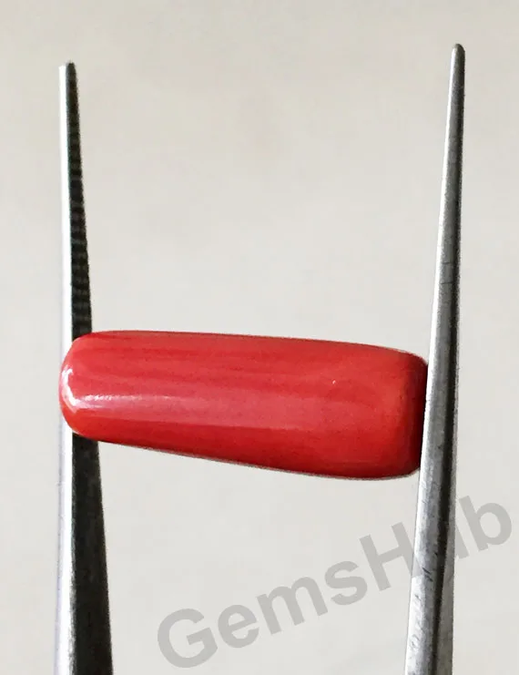 7.25 Ratti (6.46 Ct) Natural Certified Moonga Coral