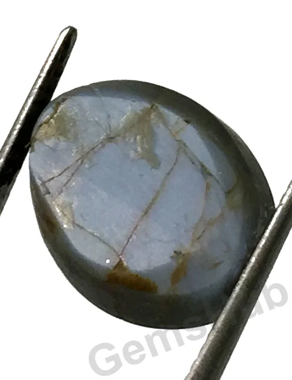 8.00 Ratti (7.20 Ct) Natural Black Chrysoberyl Cat's Eye (Lehsunia) | Certified Gemstone
