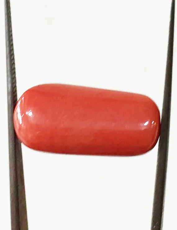 15.53 Ratti (13.98 ct) Natural Certified Moonga/Coral
